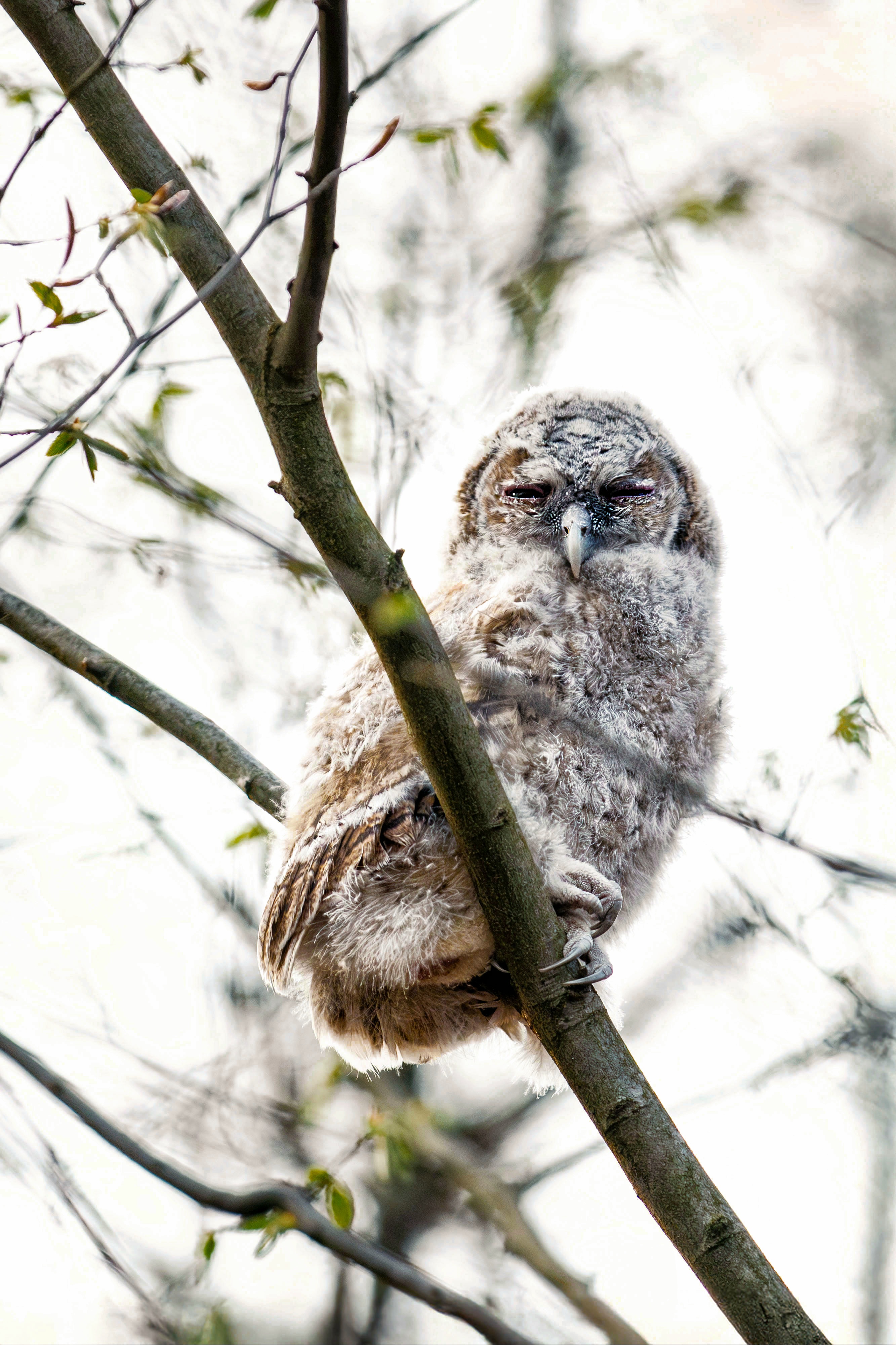 Die leisen Wunder der Natur: Fotos von Heike Reineke